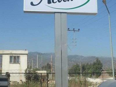 Totem 5